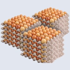 Egg Tray