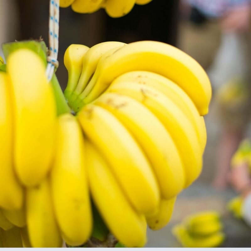 Banana Bunch